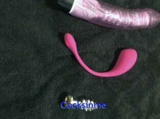 Cocksinme