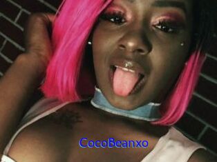 CocoBeanxo
