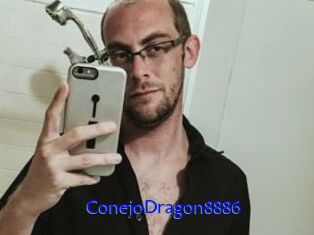 ConejoDragon8886