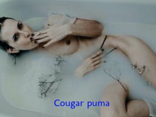 Cougar_puma