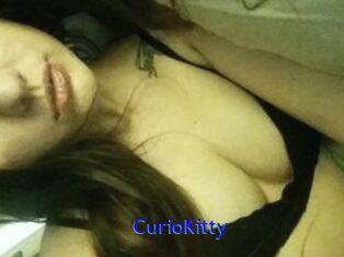 CurioKitty