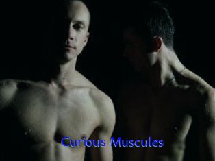 Curious_Muscules