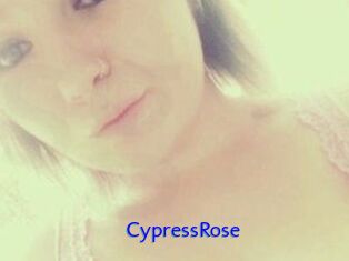 Cypress_Rose