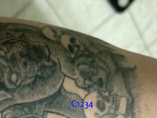 C1234