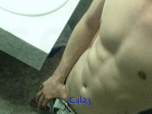 Cal23