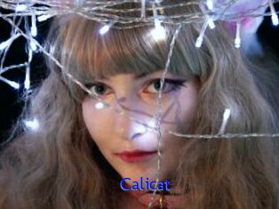 Calicat
