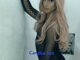 Candice_hot