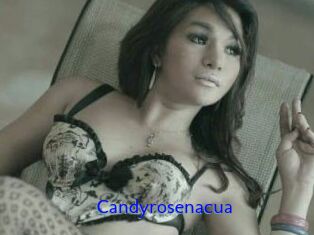 Candyrosenacua