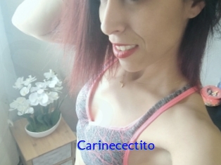 Carinecectito