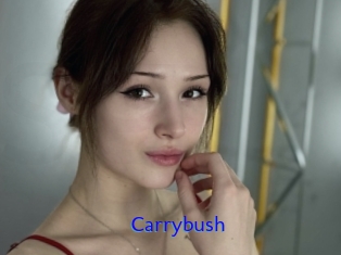 Carrybush