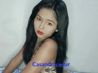Casandracedar