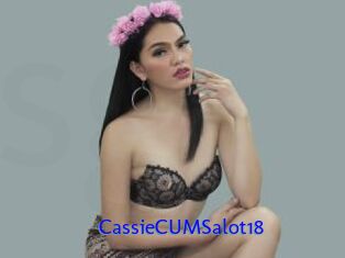 CassieCUMSalot18
