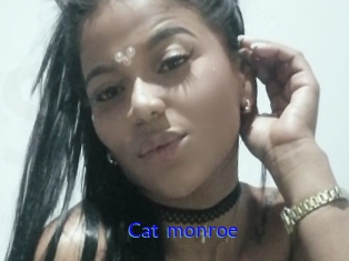 Cat_monroe