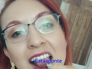 Cataaponte