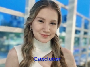 Cateclutter