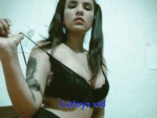 Catleya_x18