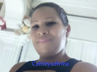 cattleyadivina Sexo Gratis