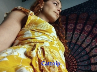 cattnip Sexo Gratis