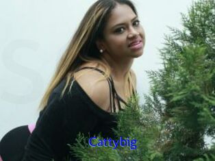 Cattybig