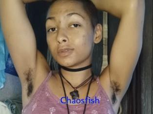 chaosfish Sexo Gratis