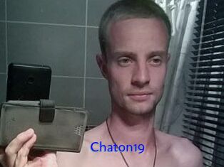 Chaton19