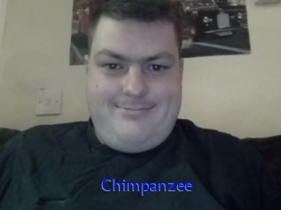 Chimpanzee