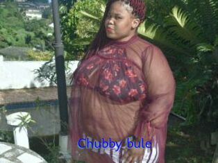 Chubby_bule