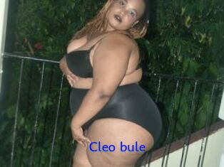 Cleo_bule