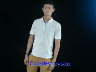Cockdestroysass