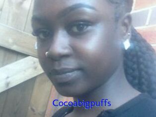 Cocoabigpuffs
