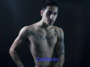 Coltlevin