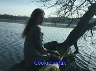 Cookie_anjax