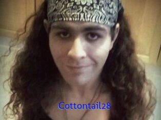 Cottontail28