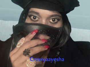 Crossyaayesha