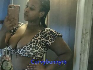 Curvybunny19