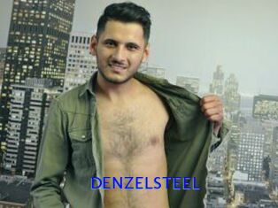 DENZELSTEEL