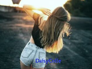 DaisyColle