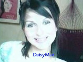 Daisy_Mae