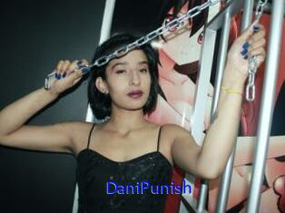 DaniPunish
