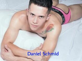Daniel_Schmid