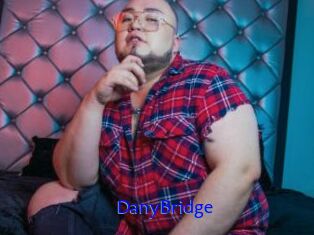 DanyBridge