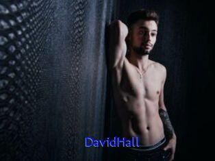 DavidHall