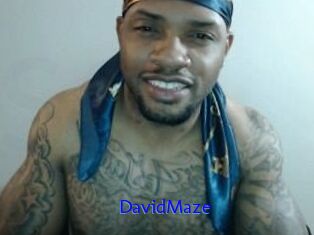 David_Maze