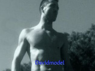 Davidmodel