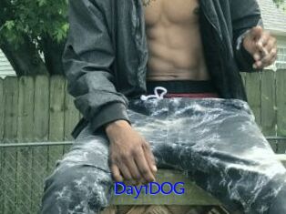 Day1DOG