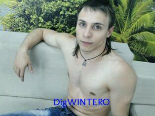 DigWINTERO