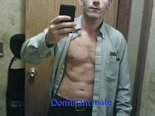 Dominantmale