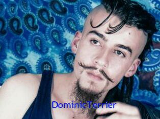 DominicTerrier Sexo Gratis