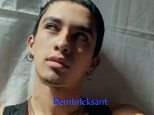 Dominicksant