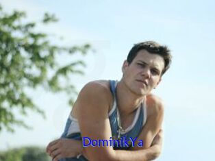 DominikYa